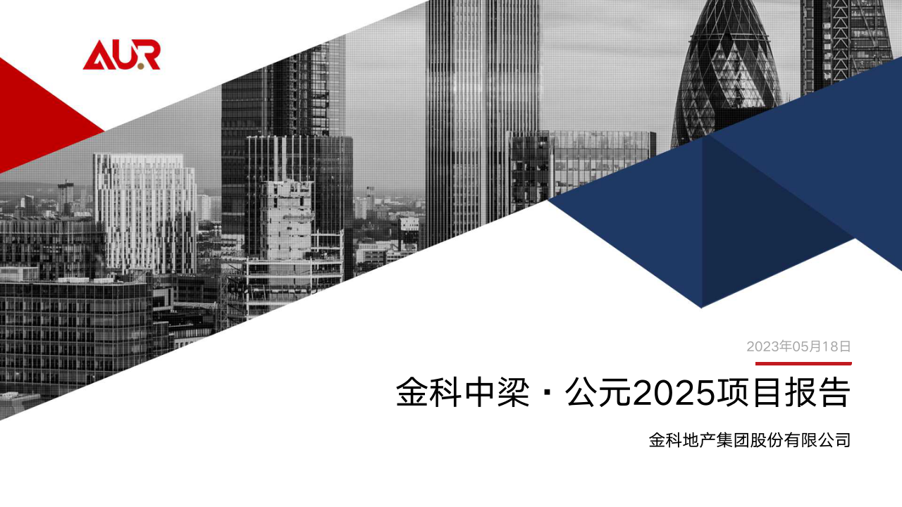 金科中梁·公元2025项目报告