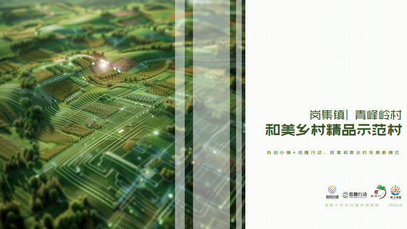和美乡村精品示范村规范方案