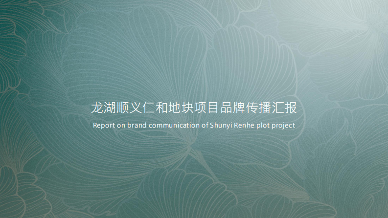 北京龙湖顺义仁和项目品牌传播策略方案